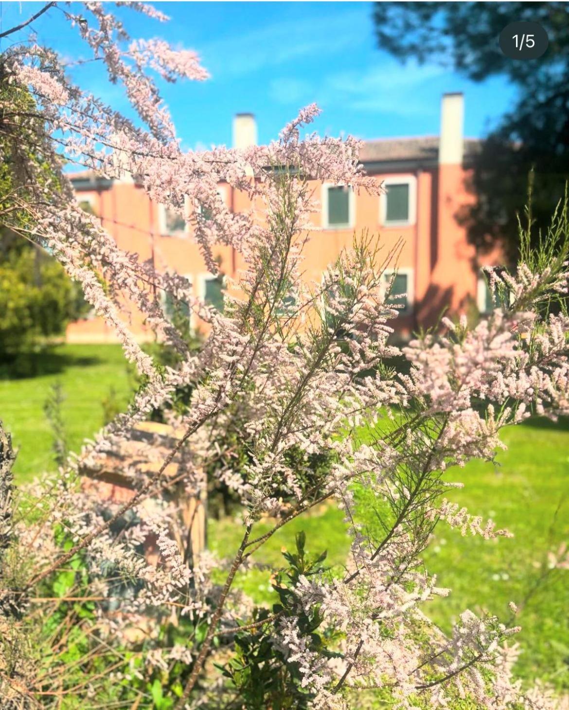 Agriturismo Ca' Bonelli 1924 Scardovari ภายนอก รูปภาพ